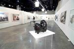 The Goidman gallery 